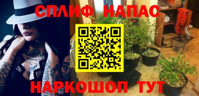 гидра Нарткала